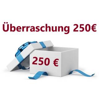 Überraschungspaket für 250&euro; 